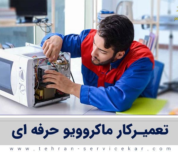 تعمیرکار ماکروویو